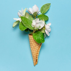 Creative spring minimal concept. Waffle cone with bouquet of spring blooming branches of white flowers and green leaves on blue background. Flat lay top view copy space. Spring nature background