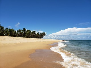 praia, areia, mar, ondas, férias, natureza, paraíso, descanso, paradisíaco, 