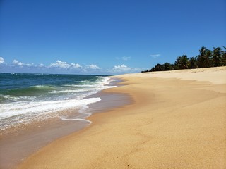 Fototapeta na wymiar praia, areia, mar, ondas, férias, natureza, paraíso, descanso, paradisíaco, 