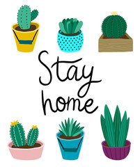 Cartoon succulents colorful vector set