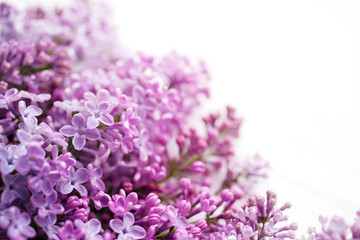 Lilac flowers on white background closeup, soft focus. Floral background	