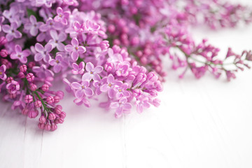Lilac flowers on white background closeup, soft focus. Floral background	