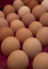 lots of eggs, chicken egg tray, Easter eggs