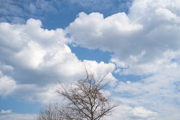 Blauer Himmel mit Sch&auml;fchenwolken, bew&ouml;lkt