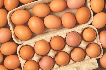 many fresh chicken brown eggs top view