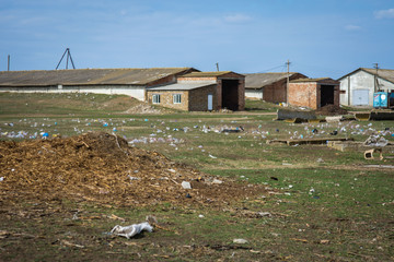 Garbage from plastic bags on the ground. Plastic bags. Dirty land. Ecological catastrophy