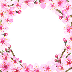 Watercolor pink cherry flowers frame. Hand painted illustration of blooming branches for wedding invitation.