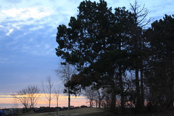 sunset in the forest