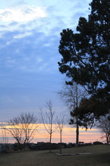 sunset in the forest