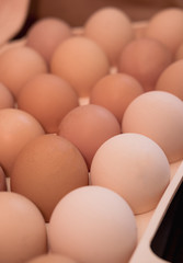 lots of eggs, chicken egg tray, Easter eggs