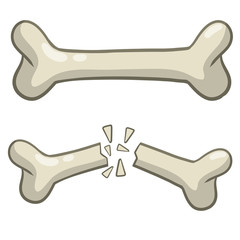 Bone fracture. Trauma to the body. Crack and splinters. Dangerous situation and wound. Cartoon flat illustration and dog toy isolated on white background