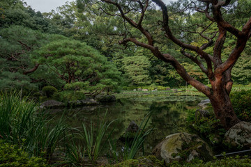 Fototapeta na wymiar A quiet and empty Japanese garden