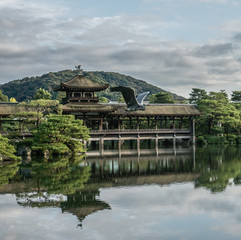 Obraz premium A crane flying over the lake in an empty Japanese garden