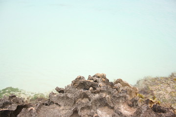 stone on the beach