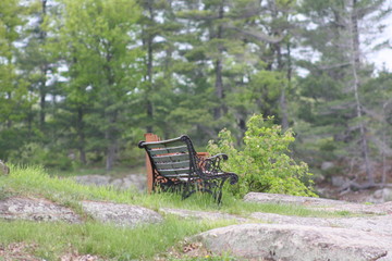 bench in the park