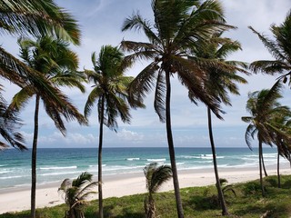 Obraz na płótnie Canvas paraíso na beira mar, praia, férias