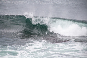 Wave curling and crashing in the ocean
