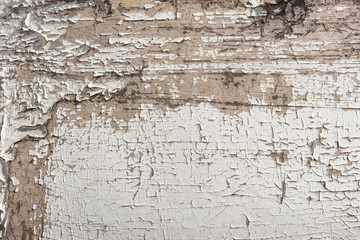 Surface of dirty wooden panel with old peeling cracked weathered white paint close up. Abstract grunge background for your design