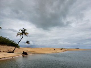 ilha de areia e conqueiro
