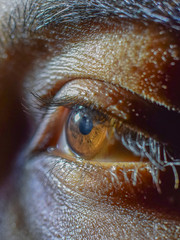 sunlight is shining through the eyes