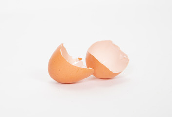 Egg shell