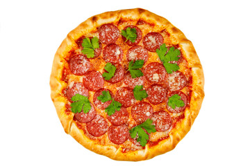 
italian pizza with salami on a white plate for a restaurant menu