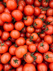 lots of ripe delicious tomato tomatoes for eating background