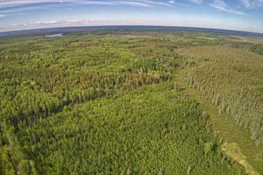 Sprawling nature preserve featuring bogs & forests in Northern Minnesota