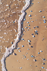 Fototapeta na wymiar Sea sand beach strewn with small shells