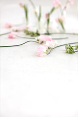 Nice and tender floral greeting card design, made of sweet pea flowers on white background. Lardge...
