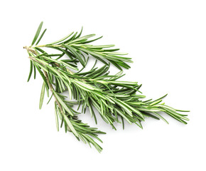 Fresh rosemary on white background