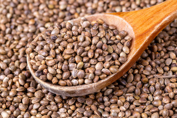 Dried hemp seeds