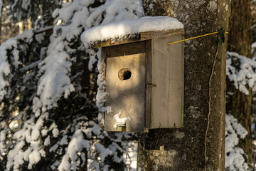 Vogelkasten