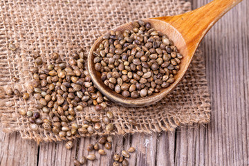 Dried hemp seeds