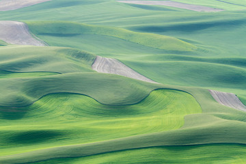 A vast overview of green rolling fields