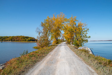 Bike path lines with trees going over a lake