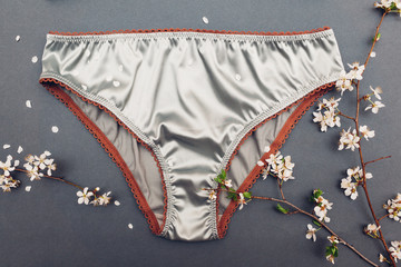 Female silk underwear with spring blossom. Satin silver panties with lace. Sexy clothing for women...