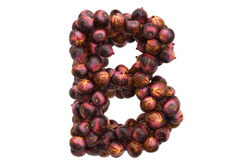 Letter B from common figs, 3D rendering
