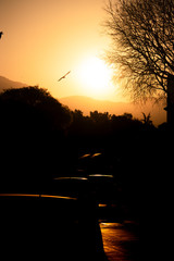Dark underexposed urban image of a golden sunrise, outlines of seagulls in the sky, light barely visible bouncing of outlines of several cars