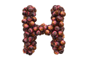 Letter H from common figs, 3D rendering