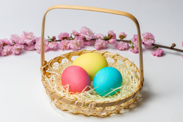 Colorful Easter eggs in a basket and spring flowers isolated on white background. Close-up