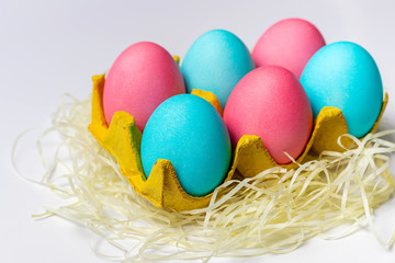 Bright Easter eggs in yellow paper egg tray isolated on white background. Close-up