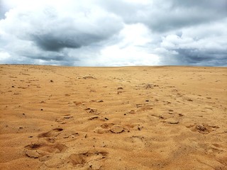 deserto, tempestade, natureza árida, vida escassez 