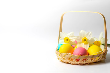 Colored Easter eggs and narcissus flowers  in a basket at the corner isolated on white background. Easter idea design, postcard, wallpaper, close-up, copy space