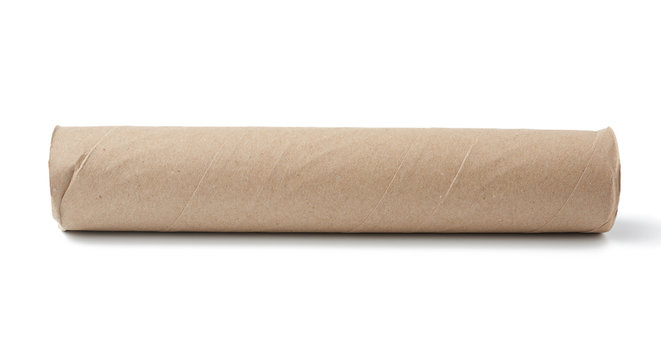 Empty Paper Towel Roll