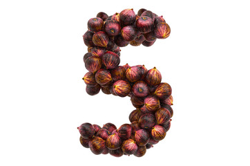 Number 5 from common figs, 3D rendering