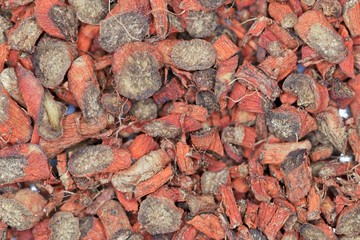 Dry root pieces of red sage, Salvia miltiorrhiza