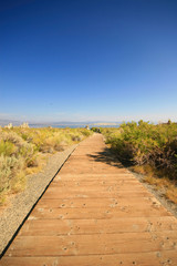 Wooden trail to the famous Mono Lake
