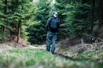 Wanderer im Wald