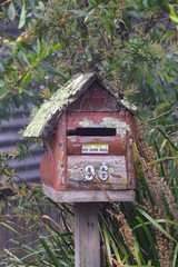 Mailbox covered in lichen